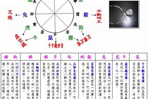 如何算自己的五行|如何查自己五行什么命 快速查自己的五行属性